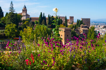 Jardines de la alhambra
Granada  - España
Alhambra Gardens Landscape
Granada - Spain