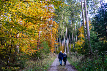 Verbundenheit und Glück im Alter: Senioren Paar geht im bunten herbstlichen Wald in der Nähe des...