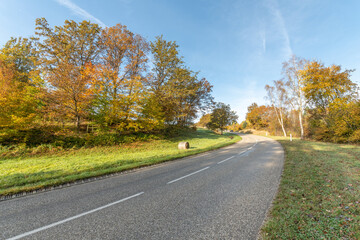 Road on a sunny morning in the mountains in autumn.