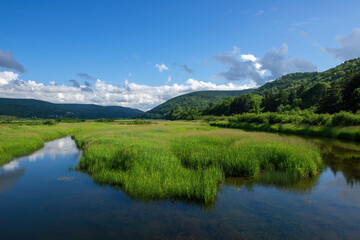 Obraz premium Wetland scene on the scenic Cabot Trail in Cape Breton, Nova Scotia, Canada.