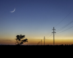 Scenic view of a sunset and a moon in the sky with power lines and a tree silhouette