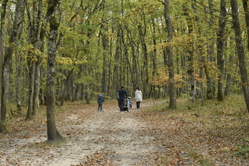 Famille se baladant en forêt un dimanche