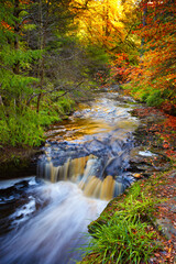 Autumnal Landscape of a Forrest and a Waterfall, with motion burred water, Hamsterley Forest, County Durham, England, UK.