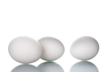 Three white chicken eggs, close-up, isolated on white.
