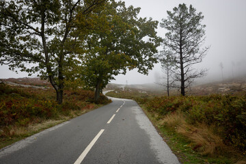 Fototapeta premium EM511 paved road at Serra da Freita mountain in Autumn, Urro-Arouca, Municipality of Arouca, Aveiro District, Portugal