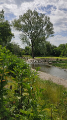Fototapeta na wymiar countryside landscape along a small river