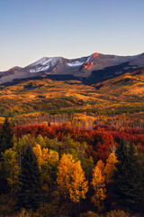 Autumn landscape in the Rocky Mountains with aspen trees at peak fall color in Kebler Pass near Crested Butte, Colorado