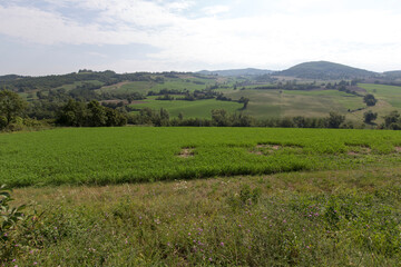 Fototapeta na wymiar View of landscape along the via Francigena