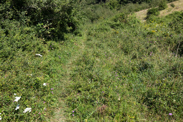 Obraz premium View of landscape along the via Francigena