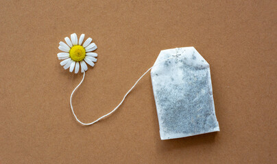 tea bag with fresh daisy flowers, herbal chamomile tea 