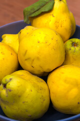 A pile of fresh and juicy quinces