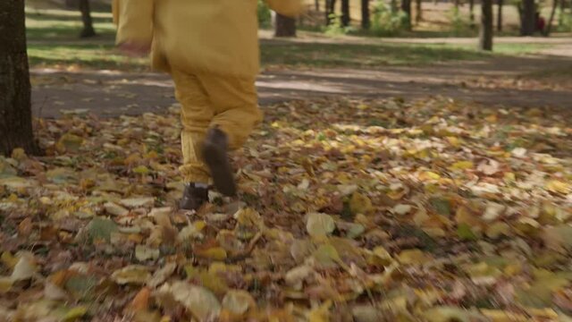 One happy funny active smilling friends child kid walking running legs shoes in park forest enjoying autumn falling leaves nature weather. Kid in yellow cloth playing hiding behind trees