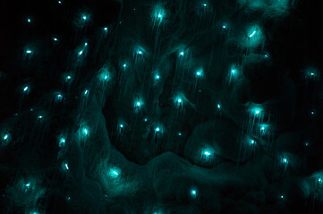 glowworms in waitomo