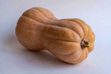 Close-up view of ripe orange Cucurbita moschata (also known as Butternut squash or gramma) lying on...