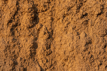 Yellow-orange clay cliff surface.  Background texture.