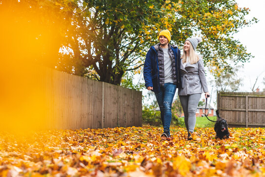 Happy couple walking the dog, autumn background