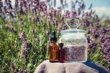 Dropper bottles of lavender essential oil and glass jar of dry lavender flowers for making herbal tea.  Blooming lavender bushes on background.