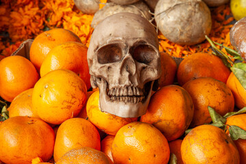 Calavera de ofrenda sobre fruta