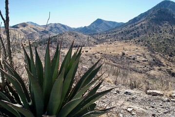 Fort Bowie National Historical Site in Arizona. Fort Bowie was a 19th-century outpost of the United...