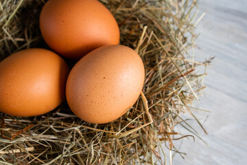 Closeup raw white brown organic fresh eggs shell with yolk from happy chicken hen free range farm on nature hatch grass straw nest healthy protein food symbol of spring season birth easter festival