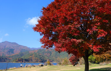 河口湖畔の紅葉