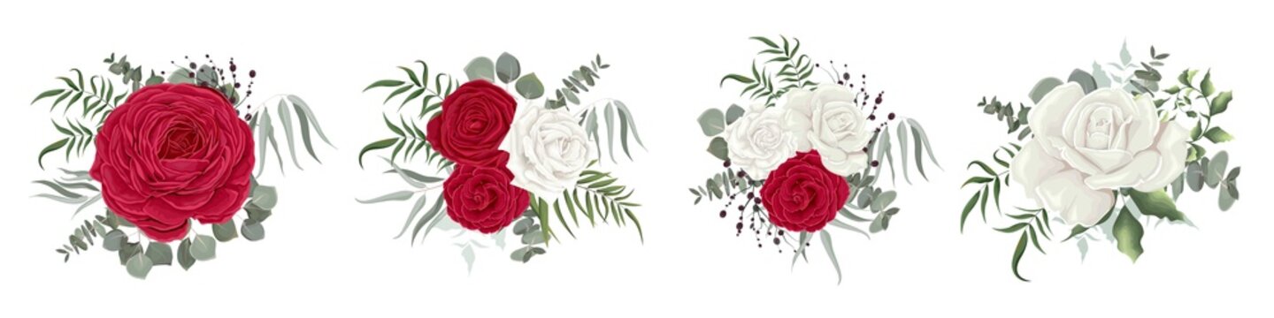 Vector set of flowers and leaves. White and red roses, berries, eucalyptus, green plants and leaves. Composition of flowers isolated on white background