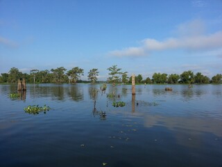 Lake Martin in St Martin Parish, Louisiana