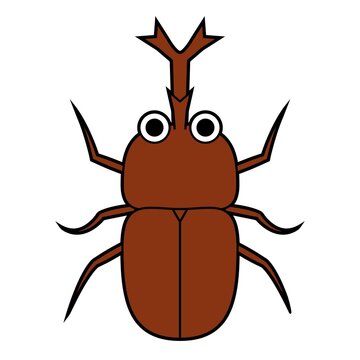 カブトムシ