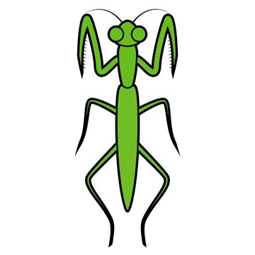 カマキリ
