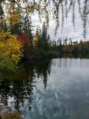 Colourful autumn forest by Štrbské pleso lake - High Tatras, Slovakia