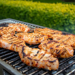 meat on the grill
