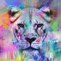 Foto op Canvas close up portrait of a lion © reznik_val