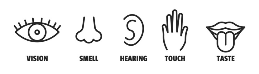 Minimal sence icons. Eye nose ear hand tongue sensation sign. Vector sensory simple sign