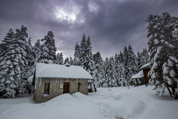 Fototapeta na wymiar A cabin in the snow in Uludag
