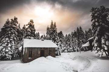 A cabin in the snow in Uludag