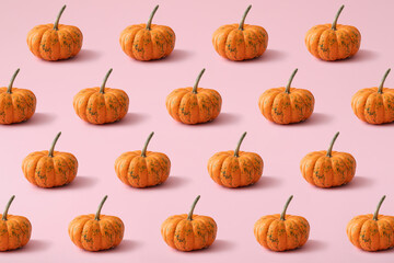 Fresh pumpkins on pink background
