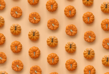 Fresh pumpkins on orange background