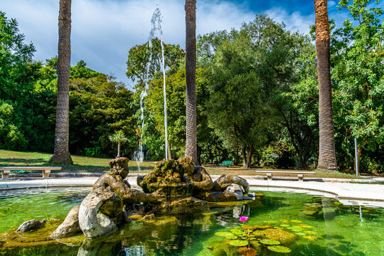 Roma &ndash; L&rsquo;orto botanico, alle pendici del Gianicolo