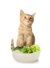 Cute funny kitten and bowl with fresh vegetables on white background