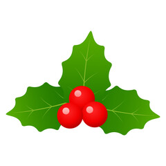 Illustration of Christmas leaves of holly berries on a white background