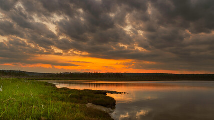 After glow of sunset with green vegetation at marsh