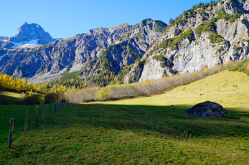 a beautiful autumnal alpine landscape with pine trees in Gramai Alm in Austria
