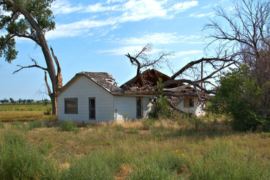 Abandoned farm home that a tree fell on