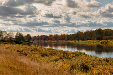 a beautiful view of the Narew river in Podlasie near the town of Czartoria, the autumn landscape of...