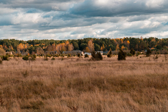 autumn view of the pasture and village in Podlasie near the town of Czartoria, autumn cloudy landscape and golden trees