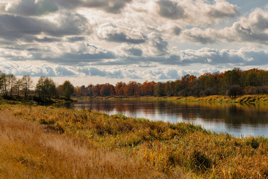 a beautiful view of the Narew river in Podlasie near the town of Czartoria, the autumn landscape of the Narew river