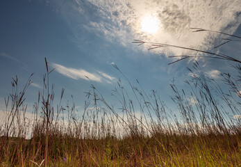 Obraz premium Sun and prairie grasses with wispy clouds
