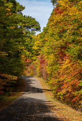 Obraz premium Paved road in the Coopers Rock state park in the autumn near Cheat Lake near Morgantown, WV