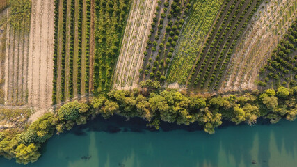 Aerial view of trees and farmland next to Acheloos river in West Greece