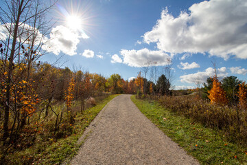Obraz premium Canadian Natural Area in Fall